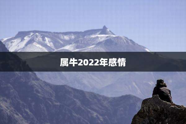 属牛2022年感情