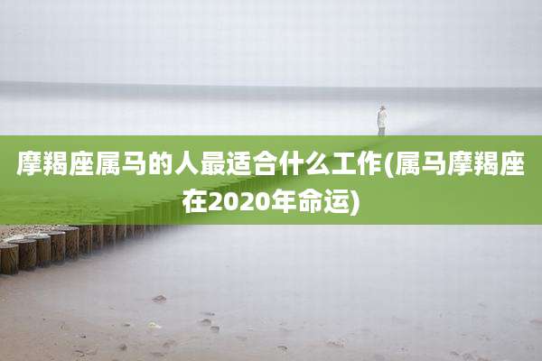 摩羯座属马的人最适合什么工作(属马摩羯座在2020年命运)