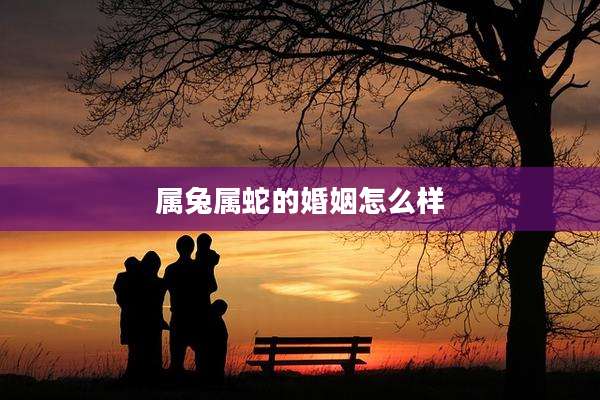 属兔属蛇的婚姻怎么样