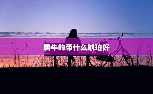 属牛的带什么琥珀好