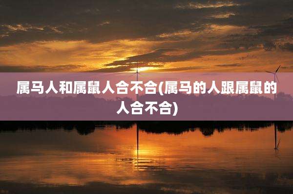属马人和属鼠人合不合(属马的人跟属鼠的人合不合)