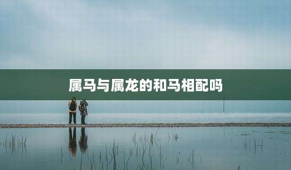 属马与属龙的和马相配吗