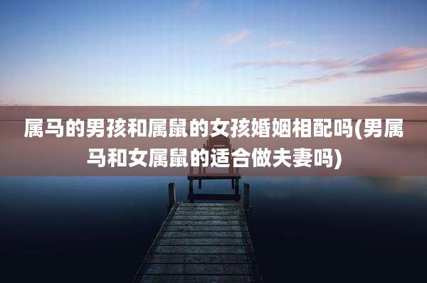 属马的男孩和属鼠的女孩婚姻相配吗(男属马和女属鼠的适合做夫妻吗)