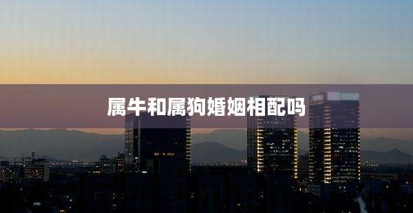 属牛和属狗婚姻相配吗