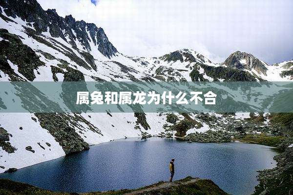 属兔和属龙为什么不合