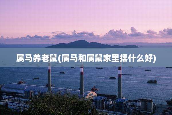 属马养老鼠(属马和属鼠家里摆什么好)