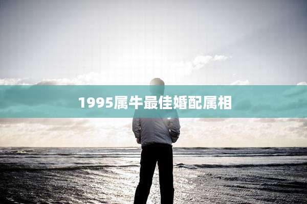 1995属牛最佳婚配属相