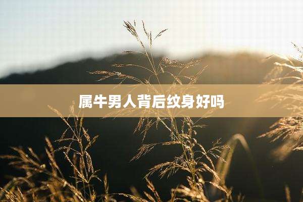 属牛男人背后纹身好吗