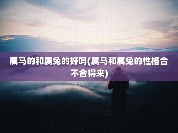 属马的和属兔的好吗(属马和属兔的性格合不合得来)