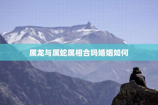 属龙与属蛇属相合吗婚姻如何