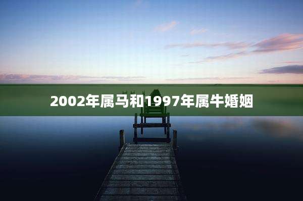 2002年属马和1997年属牛婚姻