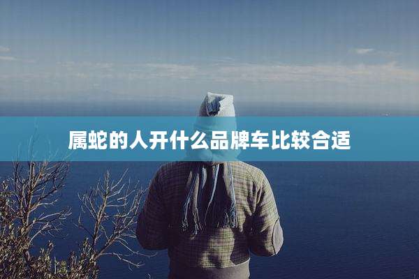 属蛇的人开什么品牌车比较合适