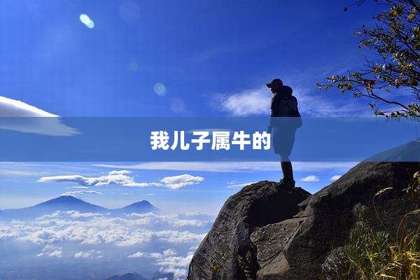 我儿子属牛的