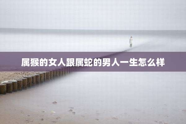 属猴的女人跟属蛇的男人一生怎么样