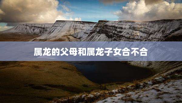 属龙的父母和属龙子女合不合