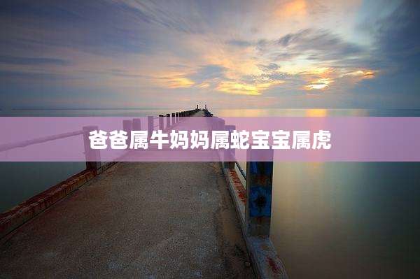 爸爸属牛妈妈属蛇宝宝属虎