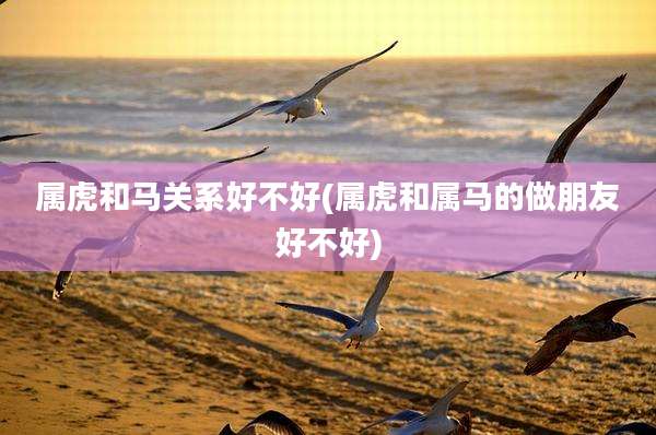 属虎和马关系好不好(属虎和属马的做朋友好不好)