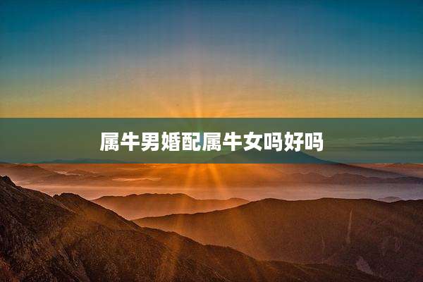 属牛男婚配属牛女吗好吗