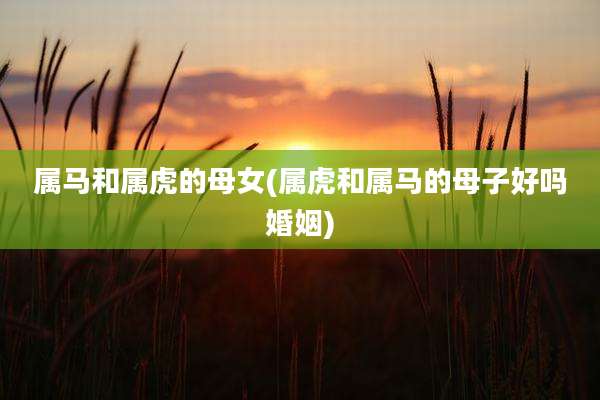属马和属虎的母女(属虎和属马的母子好吗婚姻)