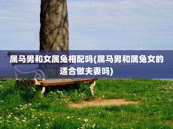 属马男和女属兔相配吗(属马男和属兔女的适合做夫妻吗)