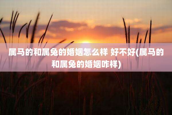 属马的和属兔的婚姻怎么样 好不好(属马的和属兔的婚姻咋样)
