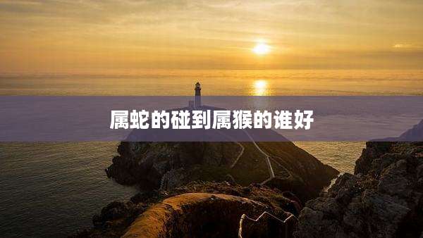 属蛇的碰到属猴的谁好