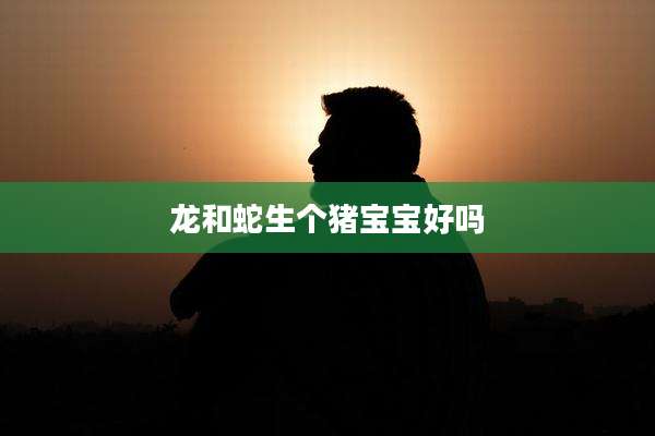 龙和蛇生个猪宝宝好吗