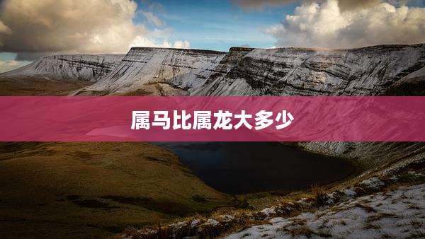 属马比属龙大多少