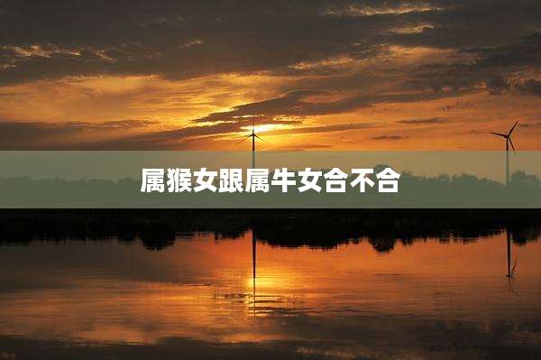 属猴女跟属牛女合不合
