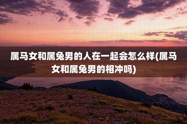 属马女和属兔男的人在一起会怎么样(属马女和属兔男的相冲吗)