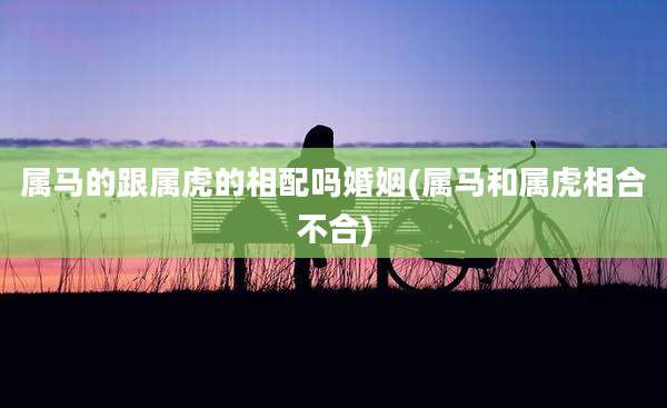 属马的跟属虎的相配吗婚姻(属马和属虎相合不合)