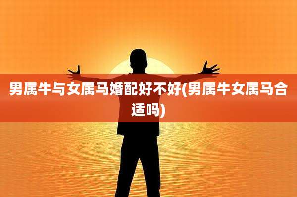 男属牛与女属马婚配好不好(男属牛女属马合适吗)