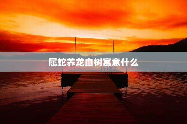 属蛇养龙血树寓意什么