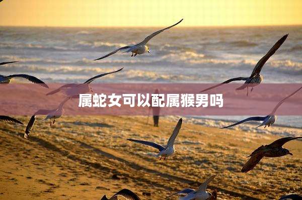 属蛇女可以配属猴男吗