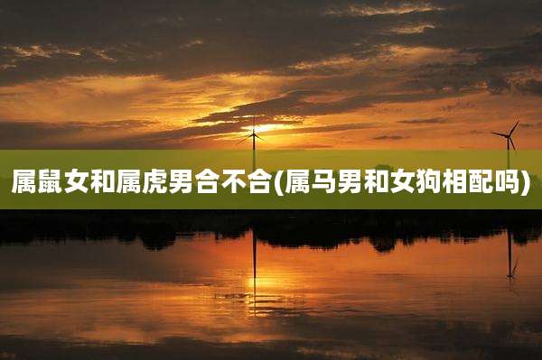 属鼠女和属虎男合不合(属马男和女狗相配吗)