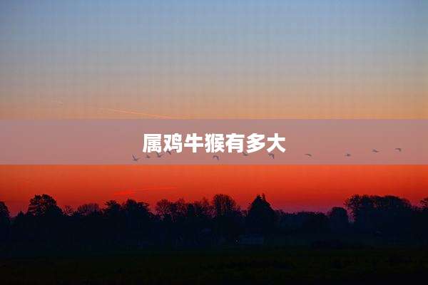 属鸡牛猴有多大