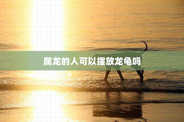 属龙的人可以摆放龙龟吗