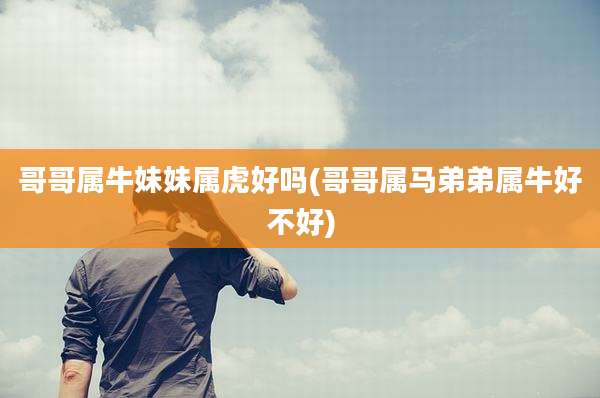 哥哥属牛妹妹属虎好吗(哥哥属马弟弟属牛好不好)