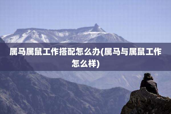 属马属鼠工作搭配怎么办(属马与属鼠工作怎么样)