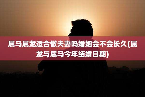 属马属龙适合做夫妻吗婚姻会不会长久(属龙与属马今年结婚日期)