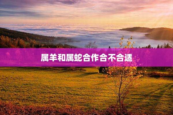 属羊和属蛇合作合不合适