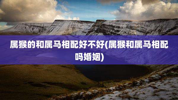 属猴的和属马相配好不好(属猴和属马相配吗婚姻)
