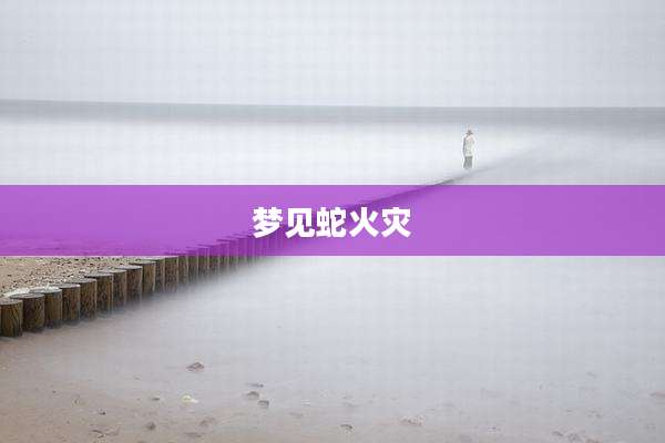 梦见蛇火灾