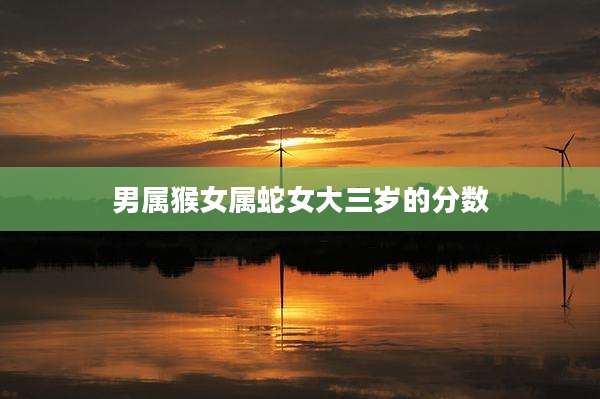 男属猴女属蛇女大三岁的分数