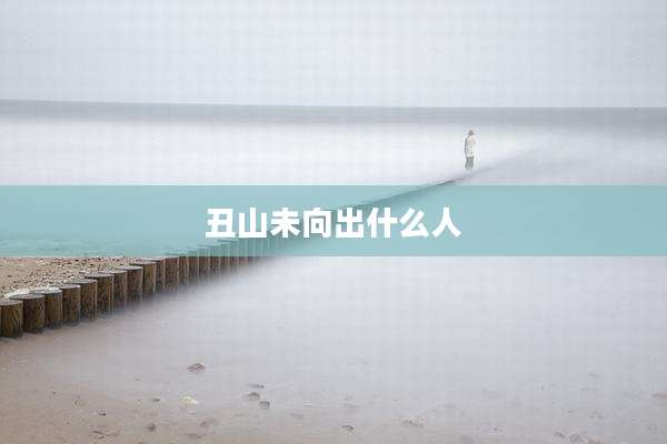 丑山未向出什么人