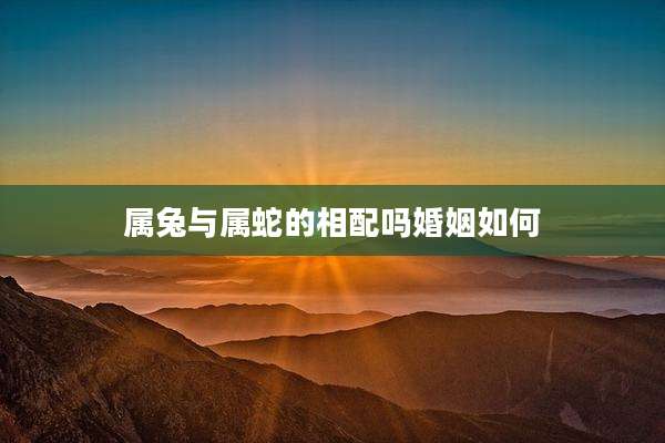 属兔与属蛇的相配吗婚姻如何