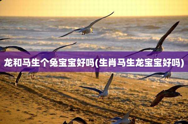 龙和马生个兔宝宝好吗(生肖马生龙宝宝好吗)