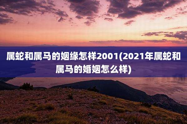 属蛇和属马的姻缘怎样2001(2021年属蛇和属马的婚姻怎么样)