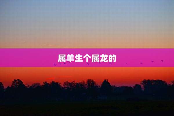 属羊生个属龙的