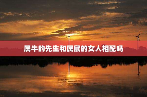 属牛的先生和属鼠的女人相配吗